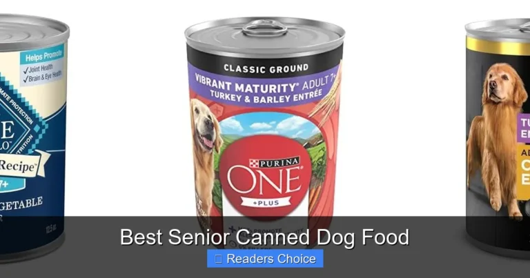 Best Senior Canned Dog Food