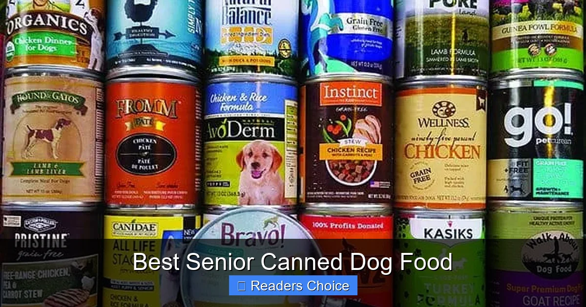 Best Senior Canned Dog Food