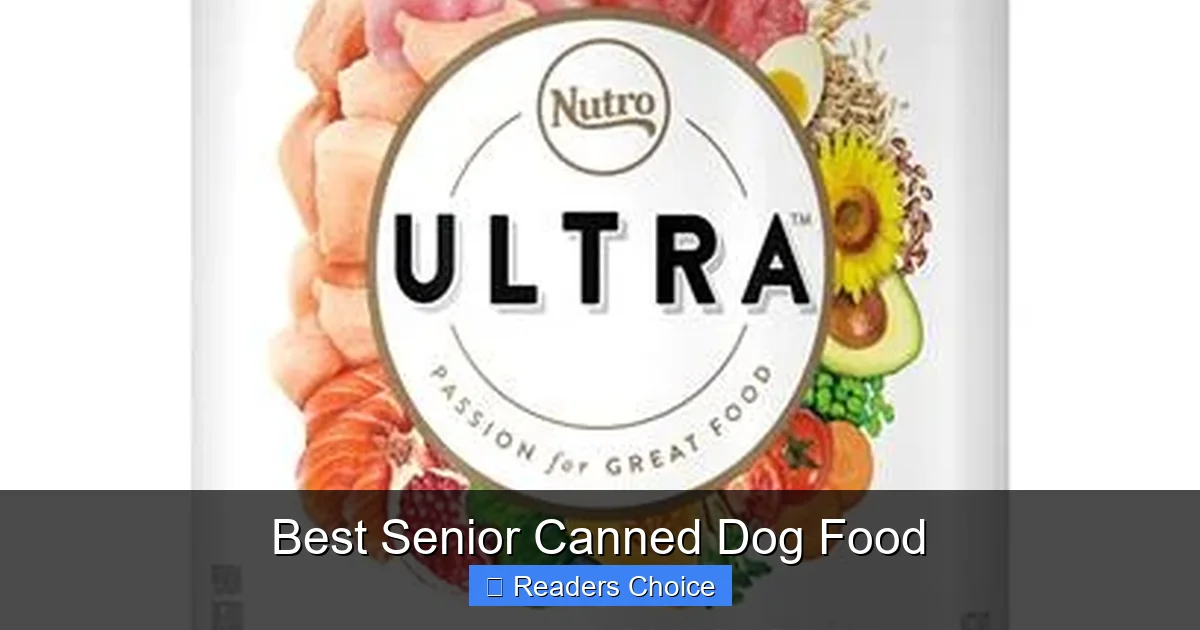Best Senior Canned Dog Food