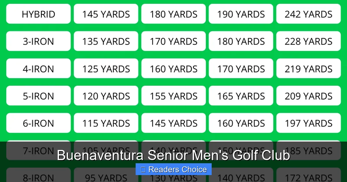 Buenaventura Senior Men's Golf Club