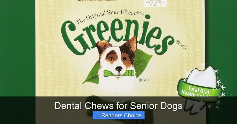 Dental Chews for Senior Dogs