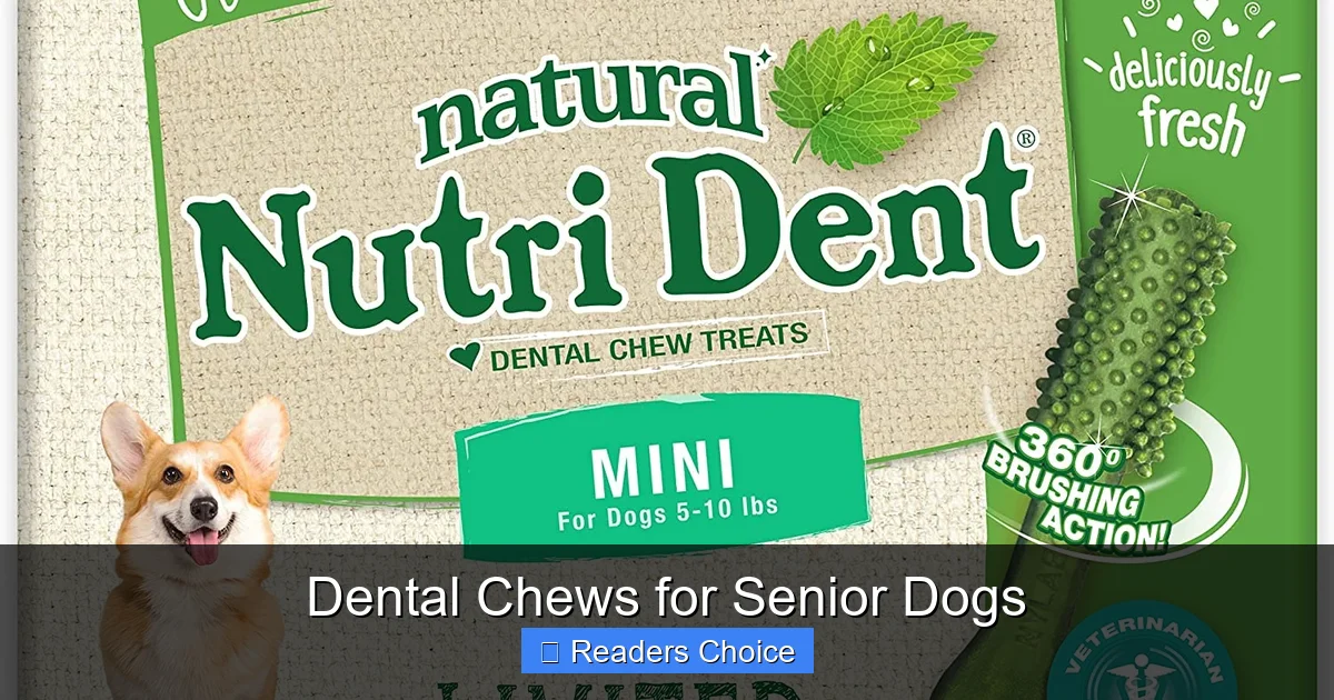 Dental Chews for Senior Dogs