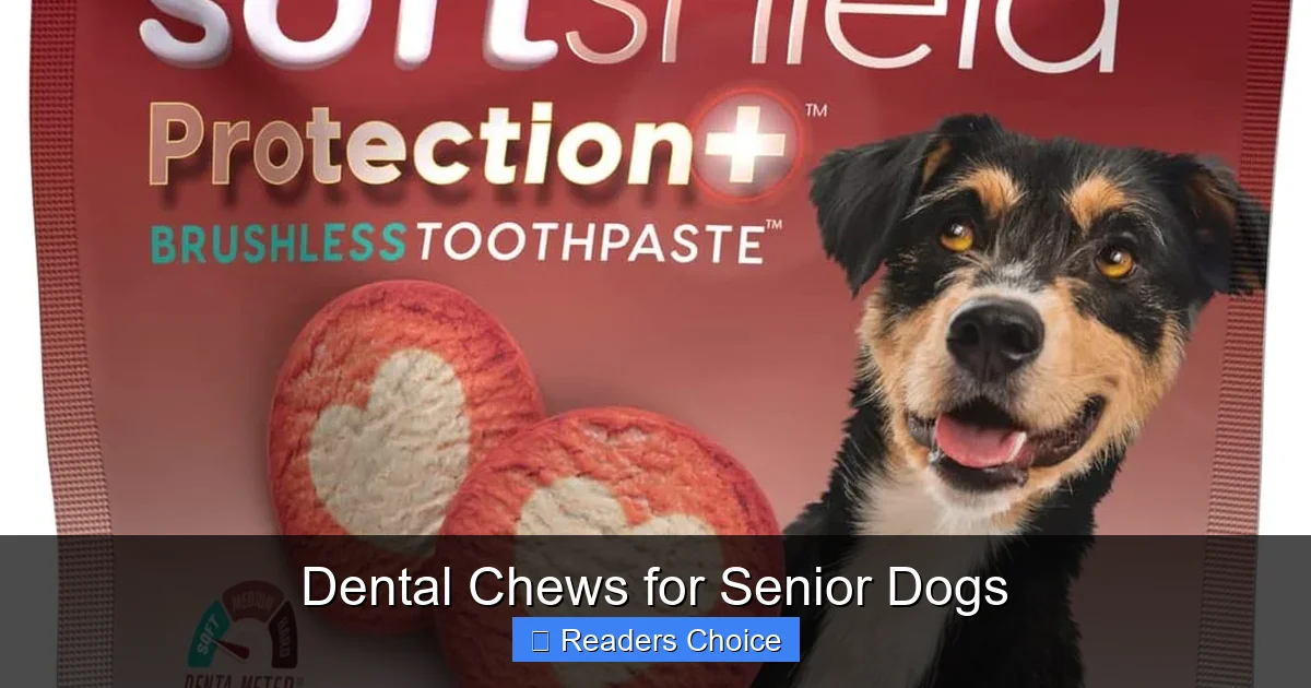 Dental Chews for Senior Dogs