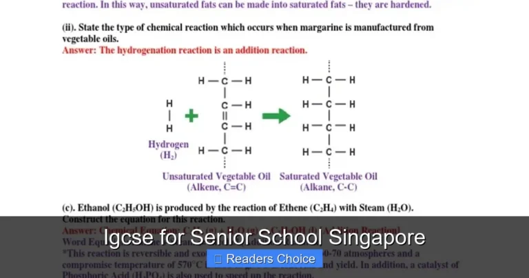 Igcse for Senior School Singapore