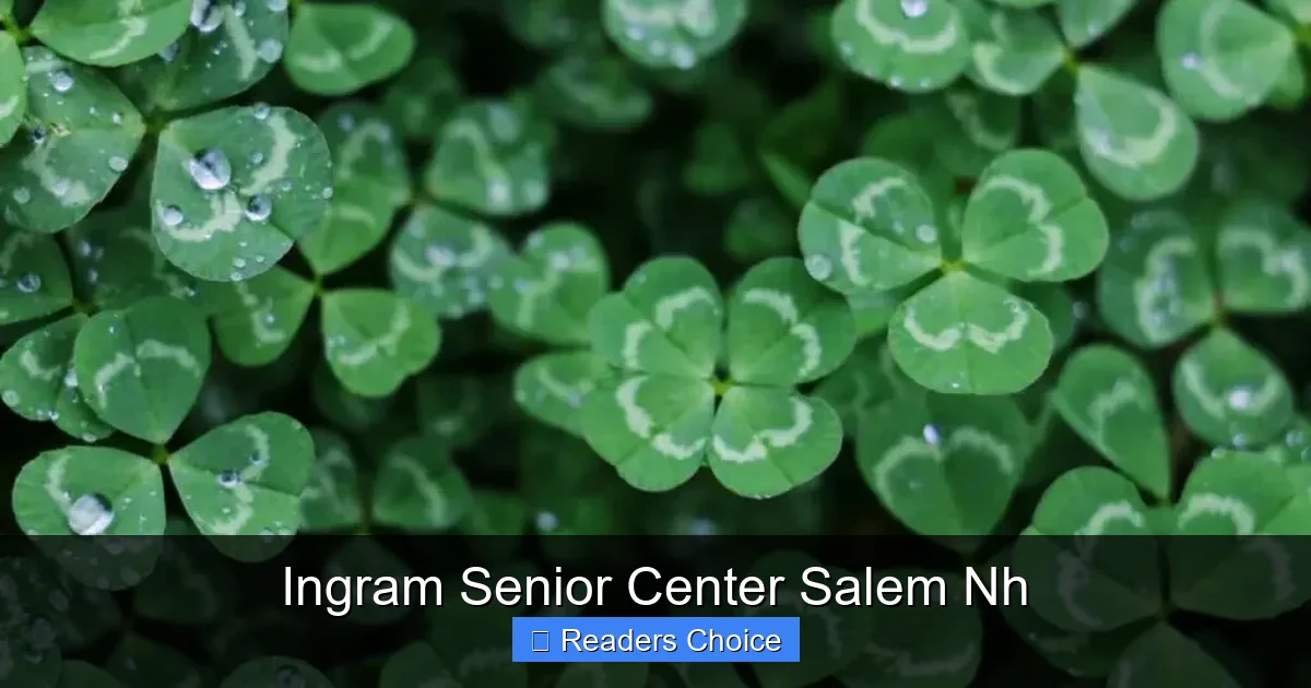 Ingram Senior Center Salem Nh