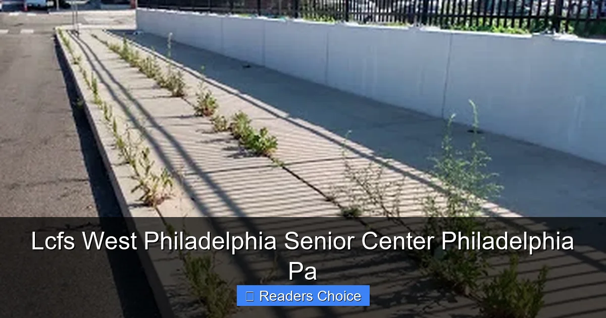 Lcfs West Philadelphia Senior Center Philadelphia Pa