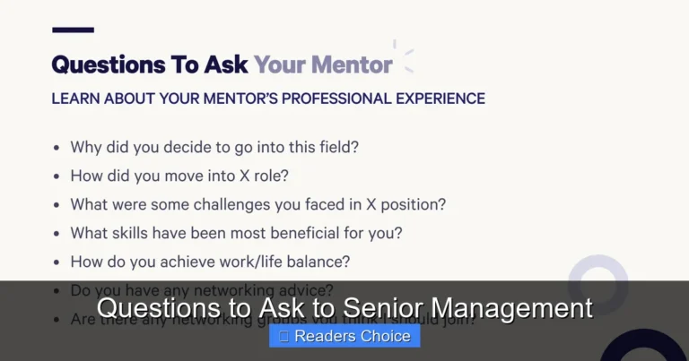Questions to Ask to Senior Management