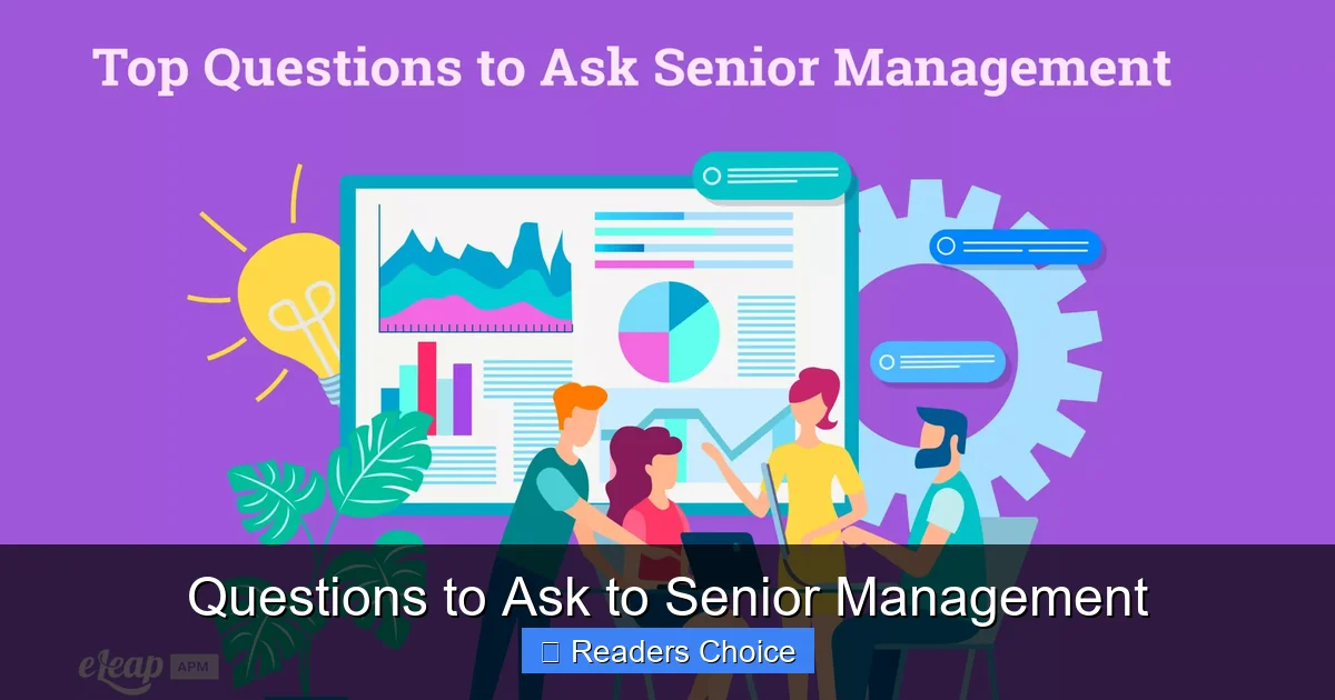 Questions to Ask to Senior Management