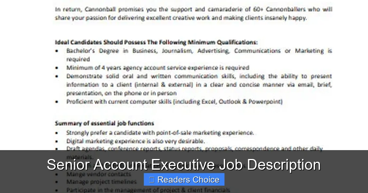 Senior Account Executive Job Description