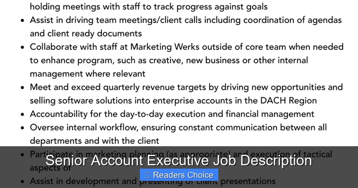 Senior Account Executive Job Description