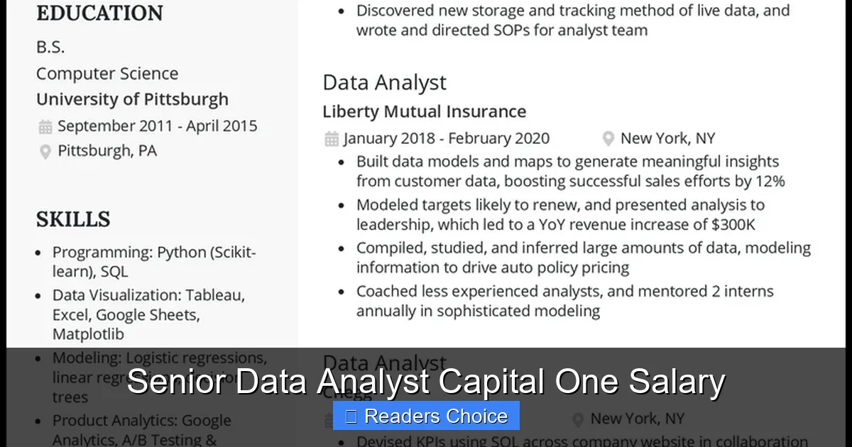 Caps Data Analyst Senior Data Analyst Capital One Salary - SeniorsProTalk