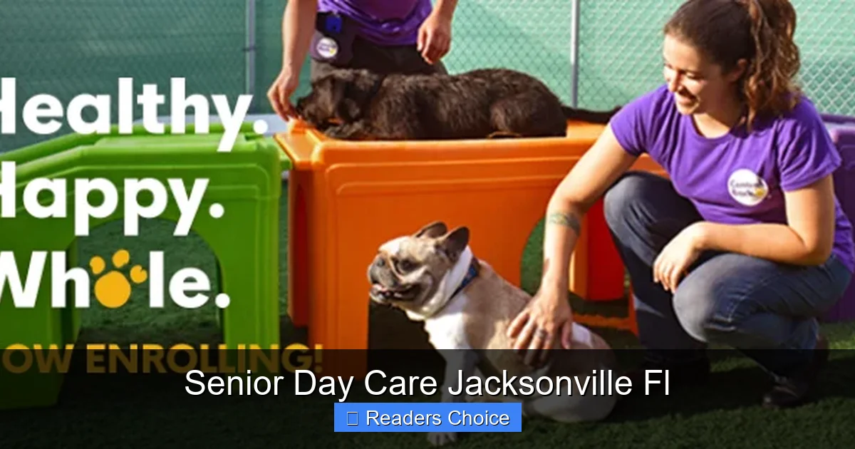 Senior Day Care Jacksonville Fl