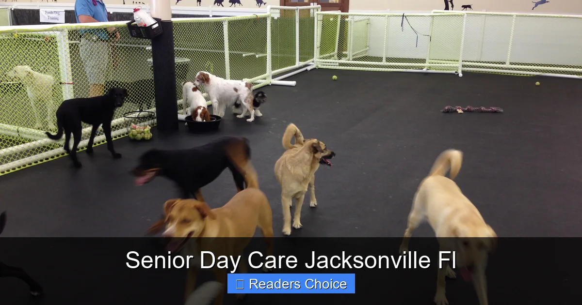 Senior Day Care Jacksonville Fl