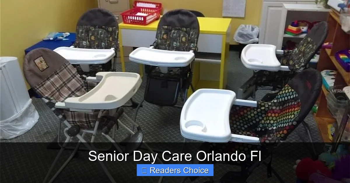 Senior Day Care Orlando Fl