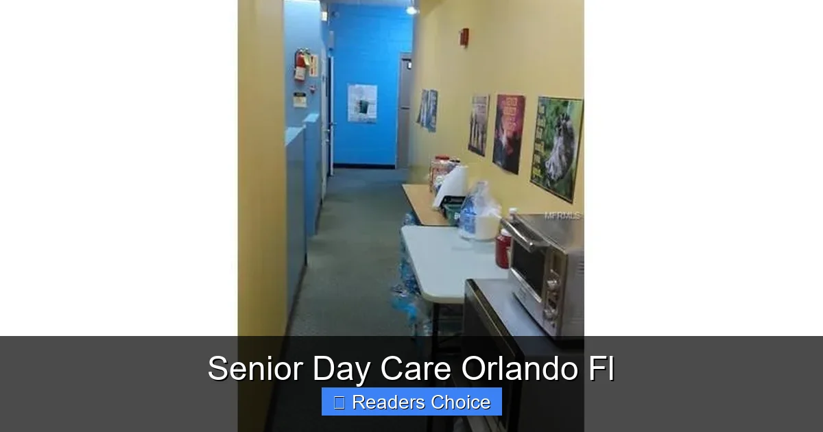 Senior Day Care Orlando Fl