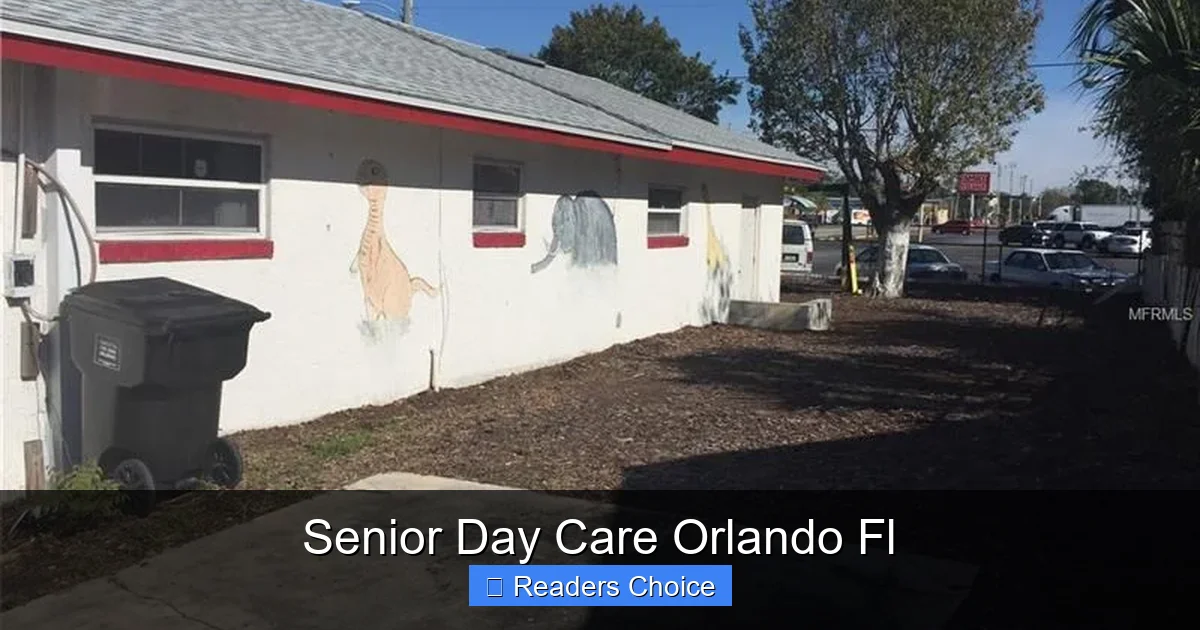 Senior Day Care Orlando Fl