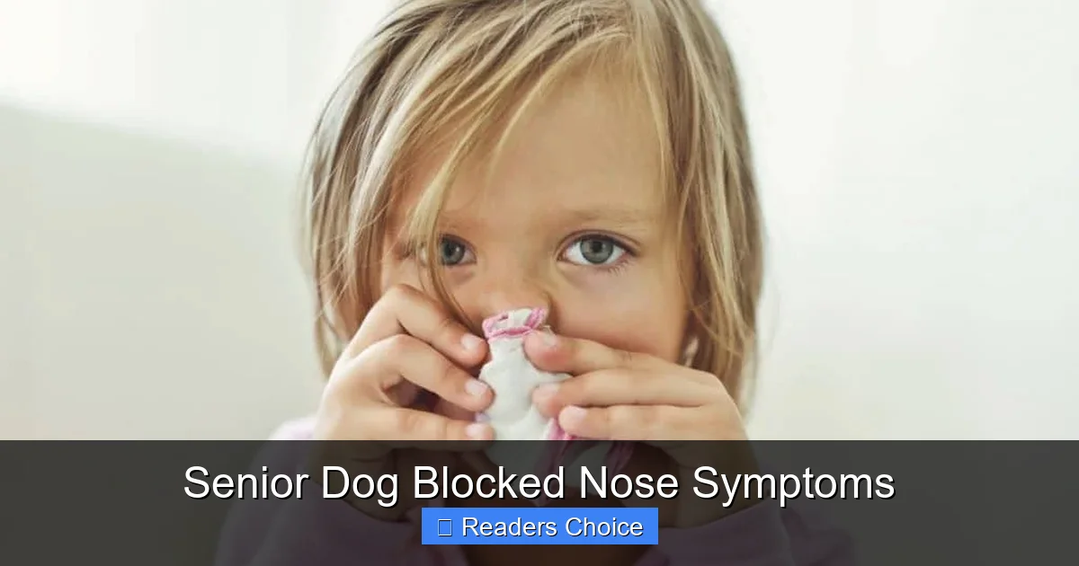 Senior Dog Blocked Nose Symptoms