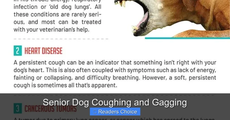 Senior Dog Coughing and Gagging