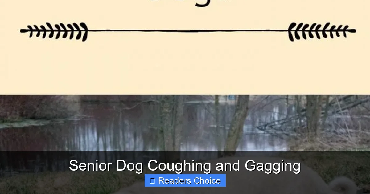 Senior Dog Coughing and Gagging