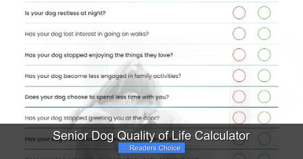 Senior Dog Quality of Life Calculator