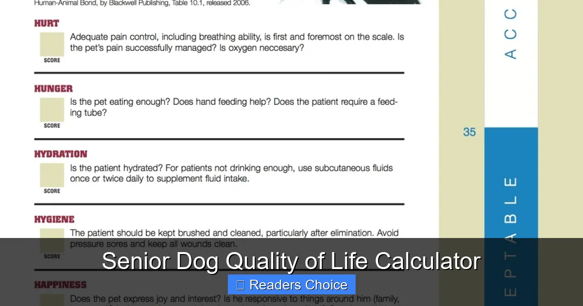 Senior Dog Quality of Life Calculator