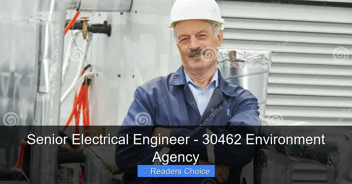 Senior Electrical Engineer - 30462 Environment Agency