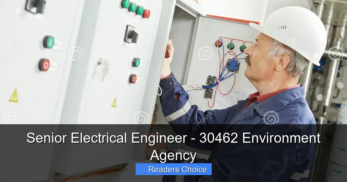 Senior Electrical Engineer - 30462 Environment Agency