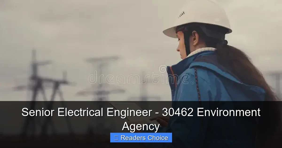 Senior Electrical Engineer - 30462 Environment Agency