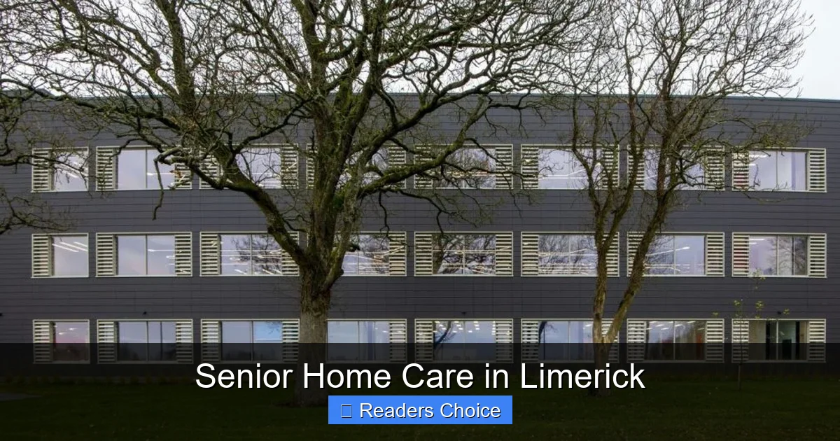 Senior Home Care in Limerick