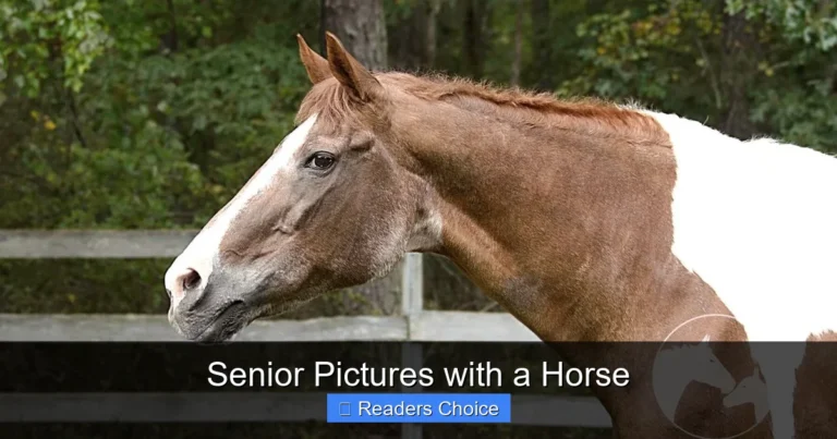 Senior Pictures with a Horse