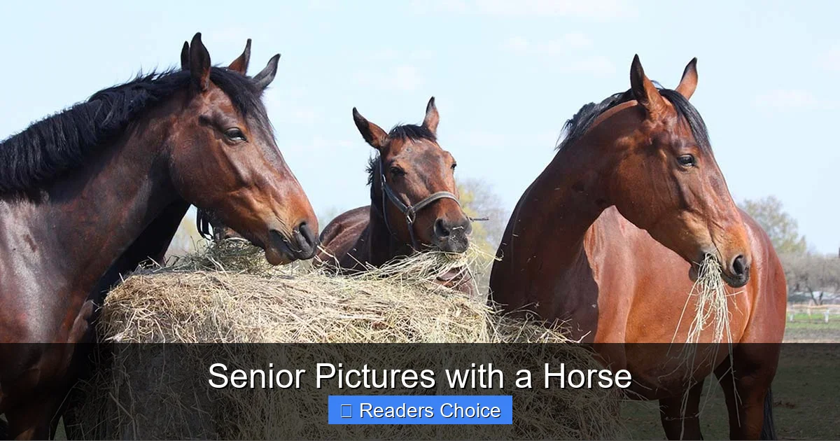 Senior Pictures with a Horse