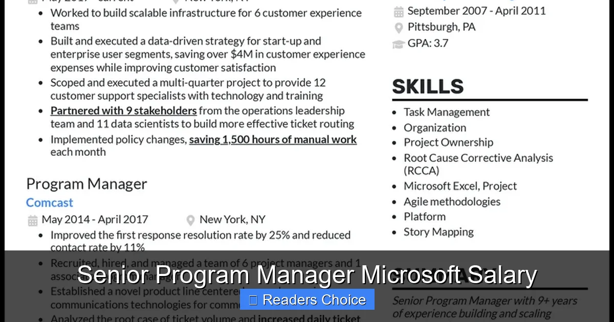 Senior Program Manager Microsoft Salary - SeniorsProTalk