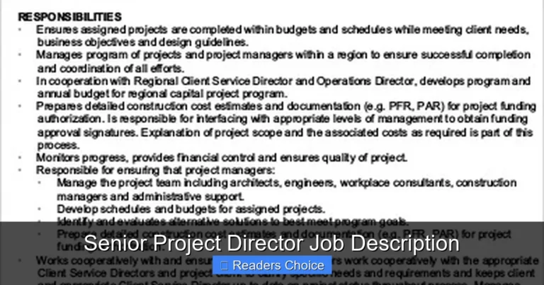Senior Project Director Job Description
