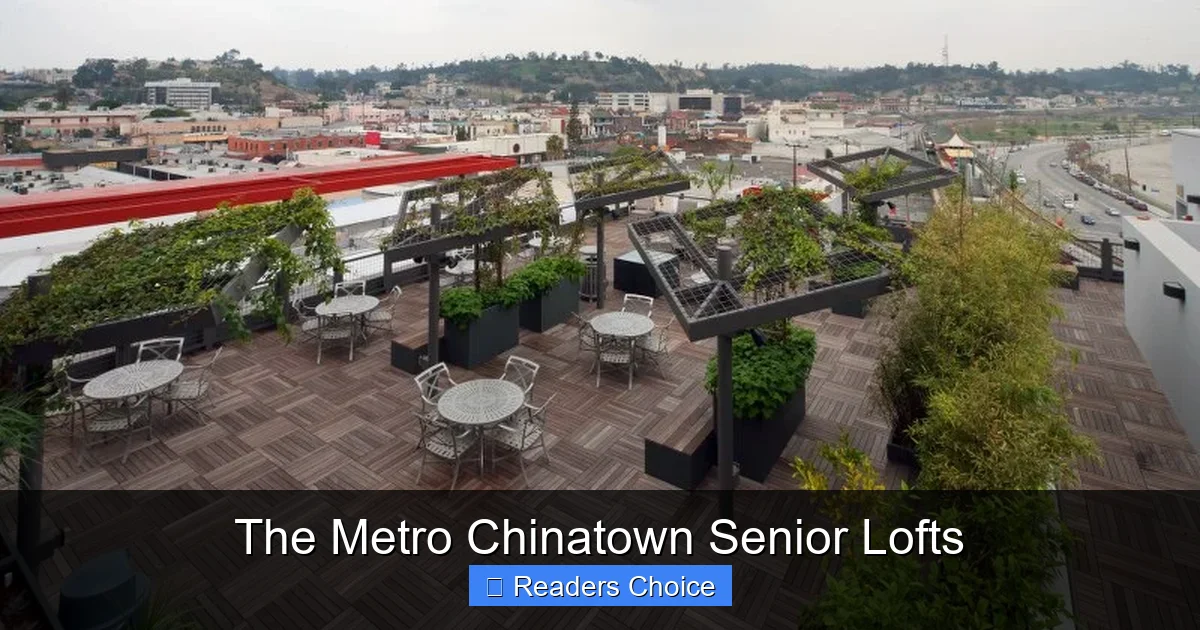 The Metro Chinatown Senior Lofts