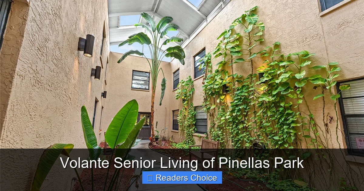 Volante Senior Living of Pinellas Park
