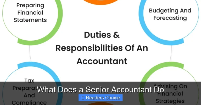 What Does a Senior Accountant Do