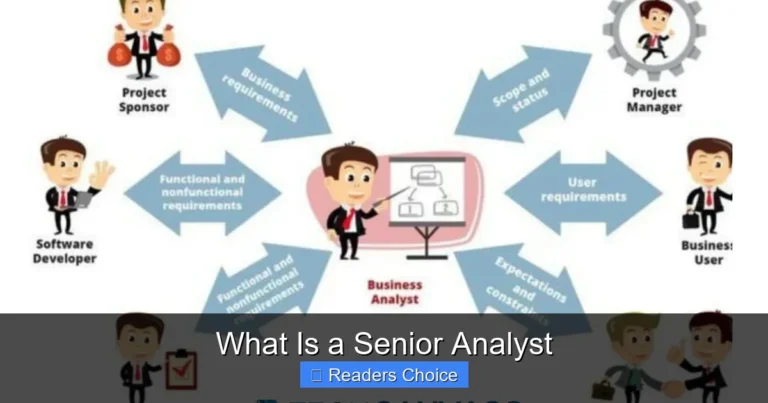 What Is a Senior Analyst