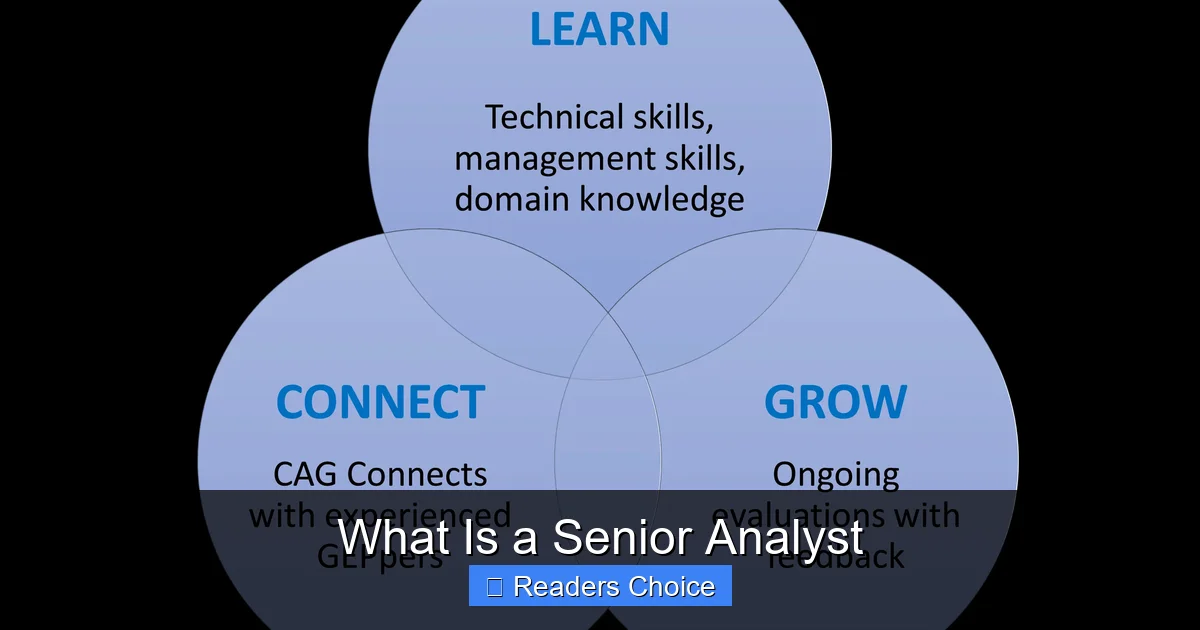 What Is a Senior Analyst