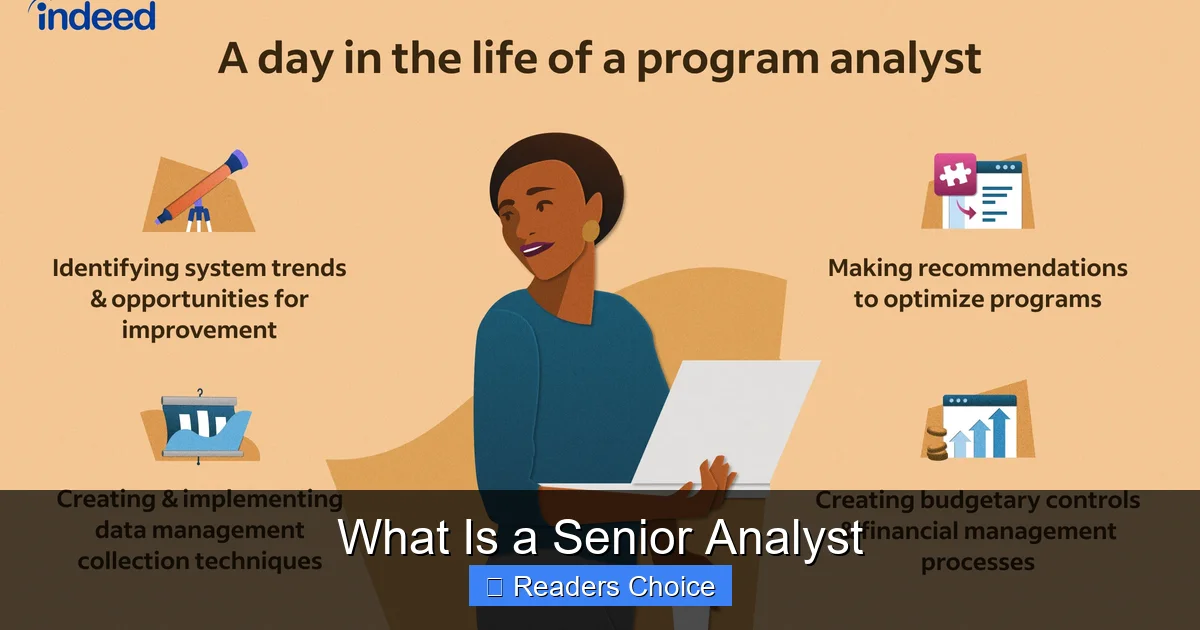 What Is a Senior Analyst - SeniorsProTalk