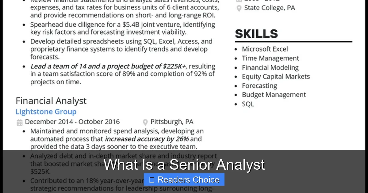What Is a Senior Analyst - SeniorsProTalk