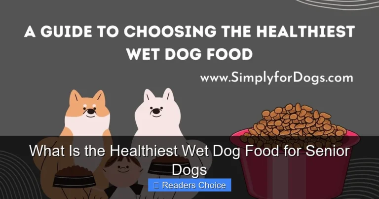 What Is the Healthiest Wet Dog Food for Senior Dogs
