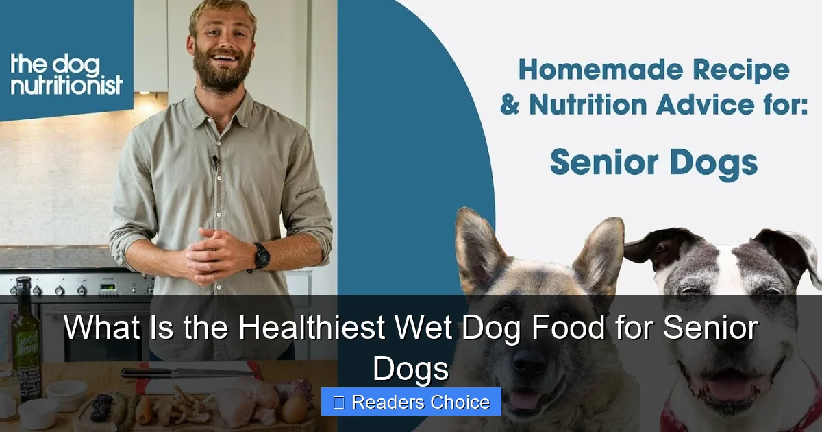What Is the Healthiest Wet Dog Food for Senior Dogs
