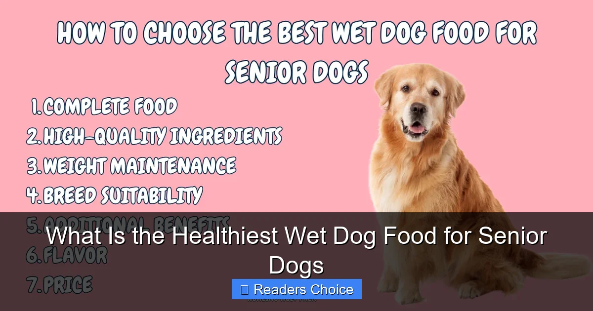 What Is the Healthiest Wet Dog Food for Senior Dogs