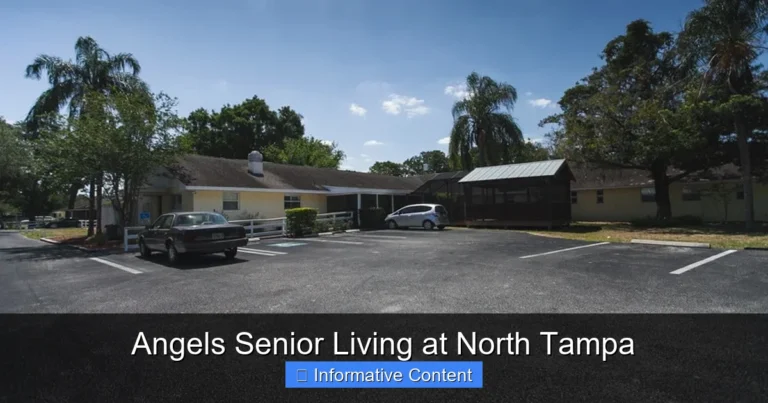Angels Senior Living at North Tampa