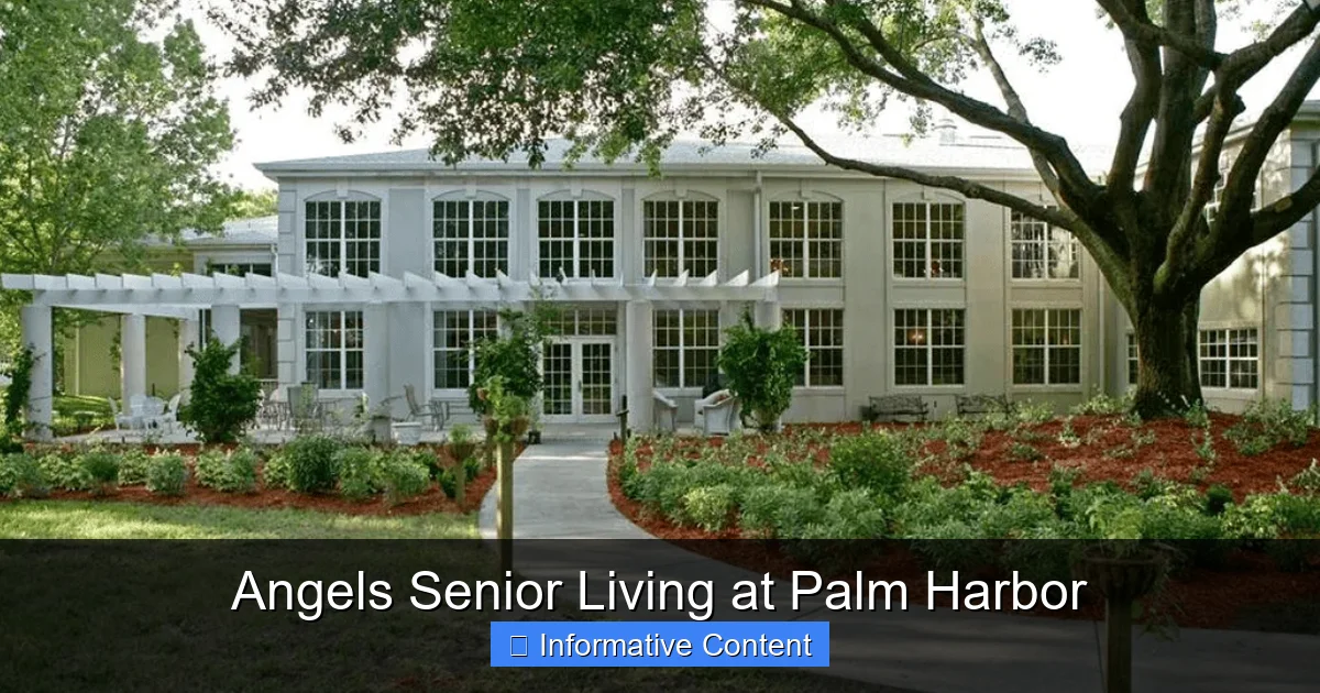 Angels Senior Living at Palm Harbor