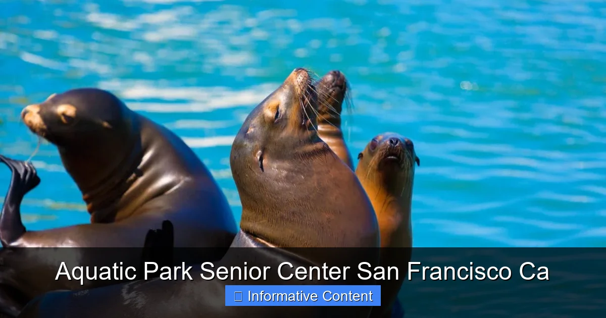 Aquatic Park Senior Center San Francisco Ca