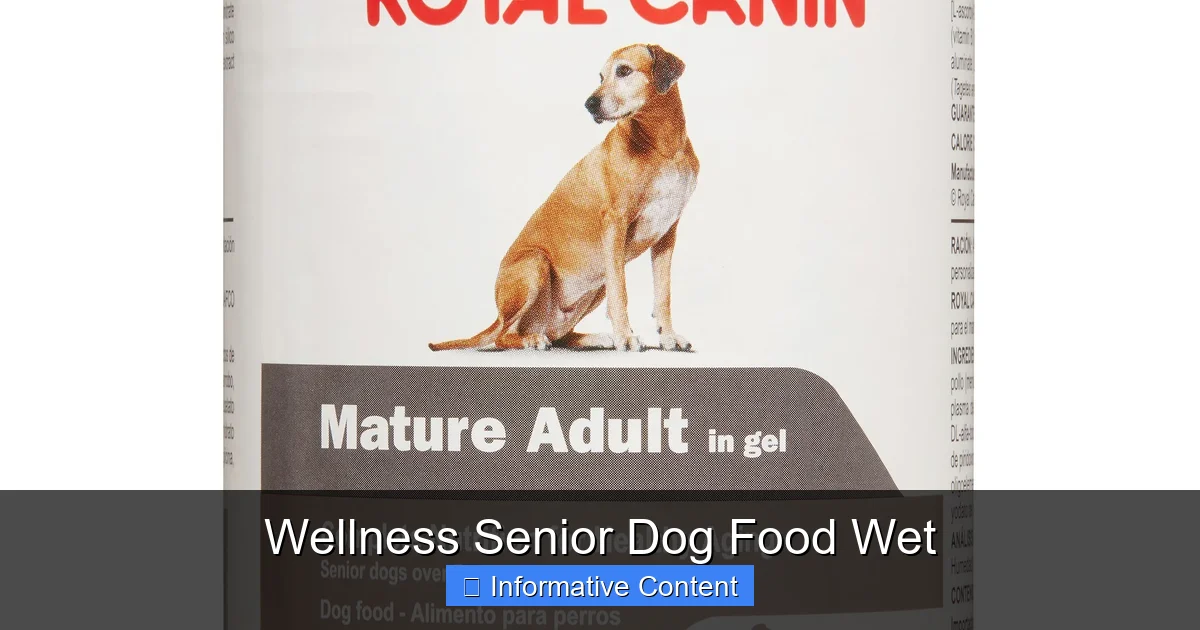 Wellness Senior Dog Food Wet