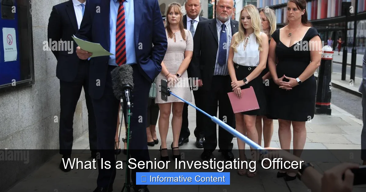 What Is a Senior Investigating Officer