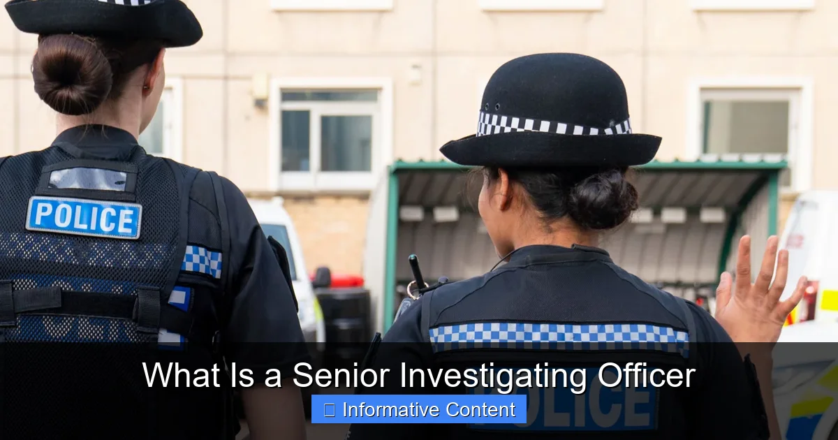 What Is a Senior Investigating Officer