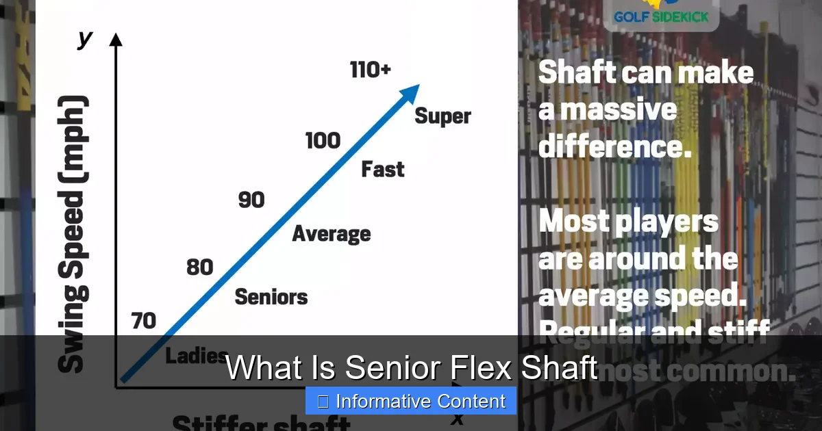 What Is Senior Flex Shaft